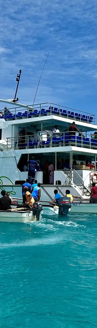 Gut organisierte Insel-Transfers mit South Sea Cruises